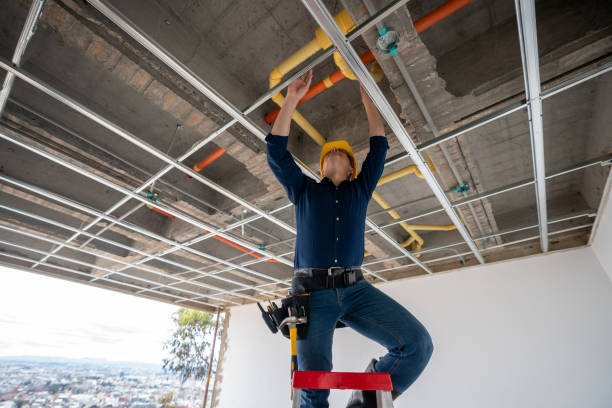 Best Affordable Plumber Near Me  in De Pue, IL