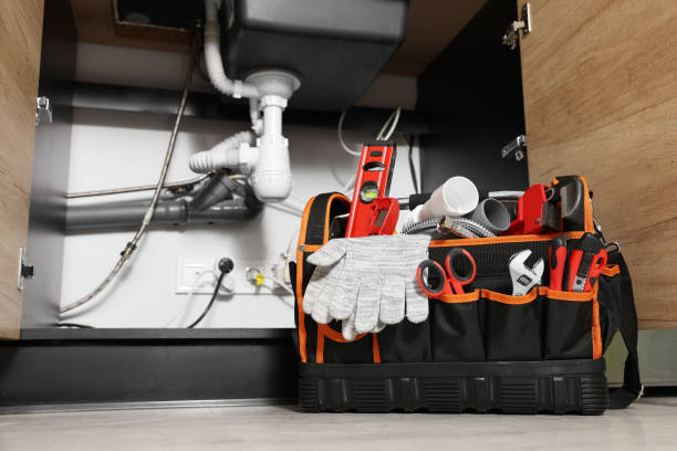 Best Plumbing Repair Near Me  in De Pue, IL