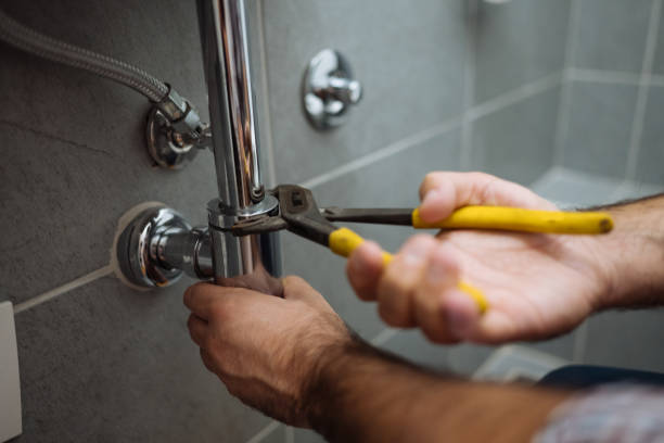 Best Local Plumber Services  in De Pue, IL