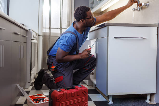 Best Same-Day Plumbing Service  in De Pue, IL