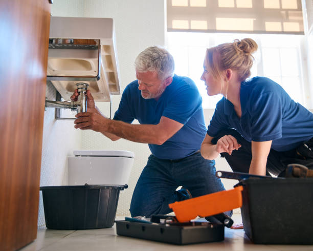 De Pue, IL Plumbing Company